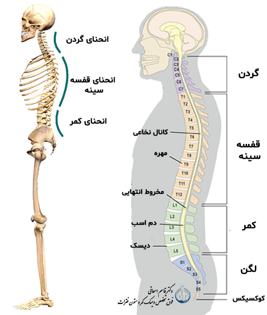 تمرین اصلاحی