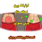 همیاراسپورت-چربی-سوزی-تاریخچه-چربی-سوزی-ورزش-در-خانه