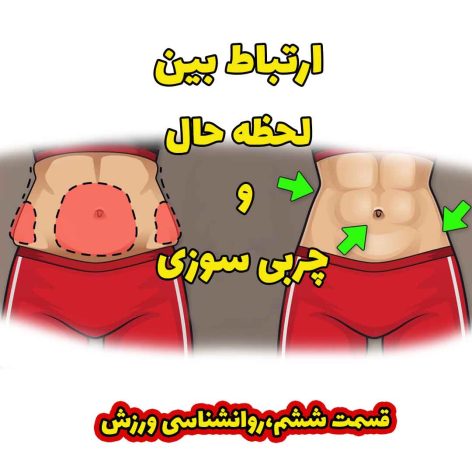 همیاراسپورت-چربی-سوزی-تاریخچه-چربی-سوزی-ورزش-در-خانه